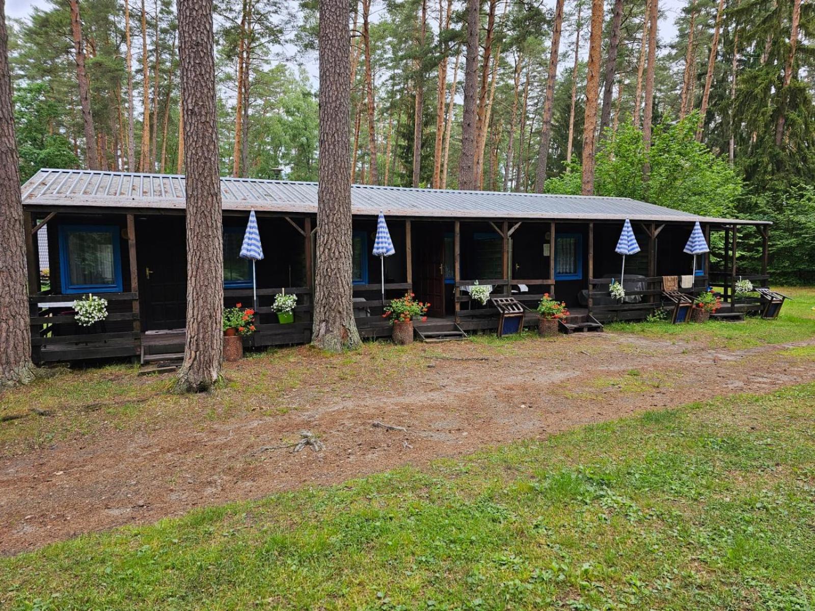 Osrodek Wypoczynkowy Warmia Villa Butryny Exterior foto