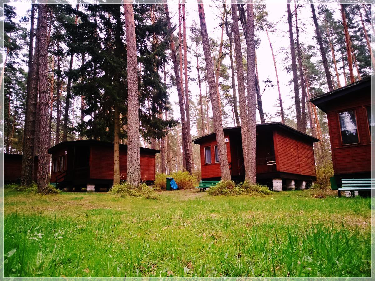 Osrodek Wypoczynkowy Warmia Villa Butryny Exterior foto